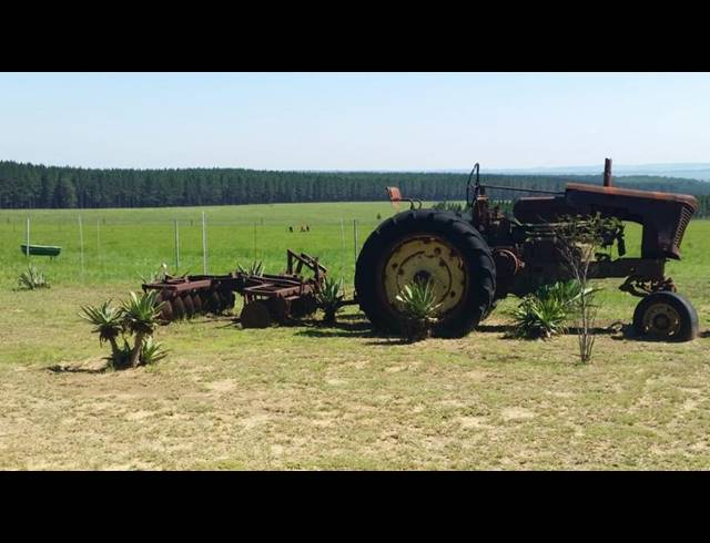 FARM FOR SALE IN ERMELO RURAL